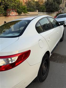 رينو فلوينس